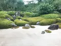 明月院（あじさい寺）の写真_332755