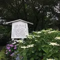 大塚性海寺歴史公園の写真_333029