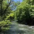 奥入瀬渓流　　の写真_338520