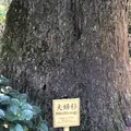 熊野古道大門坂の写真_338941