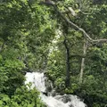 三段の滝の写真_339292