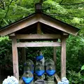 明月院（あじさい寺）の写真_344830