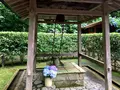 明月院（あじさい寺）の写真_344832