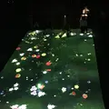 デジタルアート ミュージアム チームラボボーダレス（MORI Building Digital Art Museum: EPSON teamLab Borderless）の写真_403963