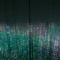 デジタルアート ミュージアム チームラボボーダレス（MORI Building Digital Art Museum: EPSON teamLab Borderless）の写真_403970