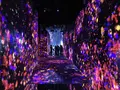 デジタルアート ミュージアム チームラボボーダレス（MORI Building Digital Art Museum: EPSON teamLab Borderless）の写真_403971