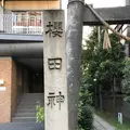 櫻田神社の写真_407339