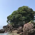 荒平天神の写真_408041