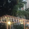 川越氷川神社の写真_408295