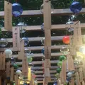 川越氷川神社の写真_408299