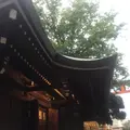 川越氷川神社の写真_408300