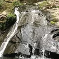 県立自然公園宇津江四十八滝の写真_412251