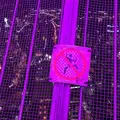 ＣＮタワー（CN Tower）の写真_442591