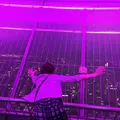 ＣＮタワー（CN Tower）の写真_442592