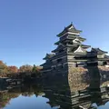 松本城の写真_453999