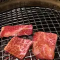 焼肉・冷麺 大東園本店の写真_456991