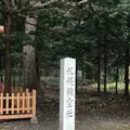 北海道神宮の写真_460302