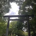 北海道神宮の写真_460304