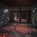 元離宮 二条城の写真_467184