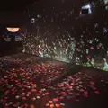 元離宮 二条城の写真_467185