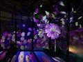 元離宮 二条城の写真_467186