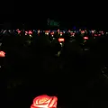 茨城県フラワーパークの写真_474266