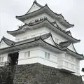 小田原城の写真_486811