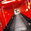 川原神社の写真_496291