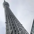 東京スカイツリーの写真_496505