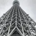 東京スカイツリーの写真_496507