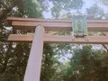 大神神社の写真_508001