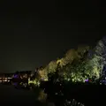 チームラボ  森と湖の光の祭の写真_519322