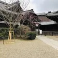 八坂神社の写真_529512
