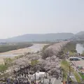 淀川河川公園背割堤地区の写真_546747