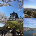犬山城の写真_549811