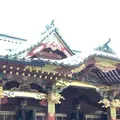 根津神社の写真_554003