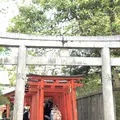 根津神社の写真_554010