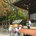 屋島神社の写真_555091