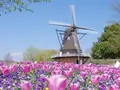 ふなばしアンデルセン公園の写真_568936