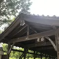東福寺の写真_599084
