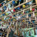 川越氷川神社の写真_610772