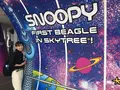 東京スカイツリーの写真_666848