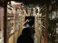 川越氷川神社の写真_672898