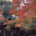 京都の写真_691899