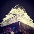 大阪城の写真_707124