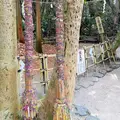 青島神社の写真_743144