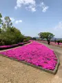 空の公園の写真_769843