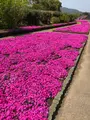 空の公園の写真_769845
