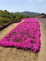 空の公園の写真_769846