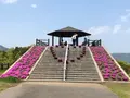 空の公園の写真_769847